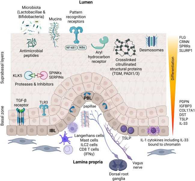 Waggoner Lab tweet media