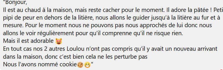 justine44 tweet media