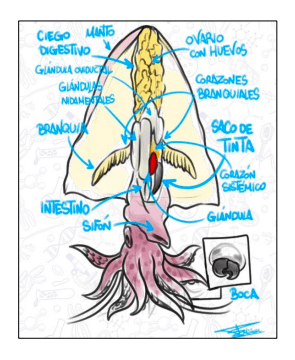 Proyecto Simbiosis🧬🌎👨🏫👩🏫 tweet media