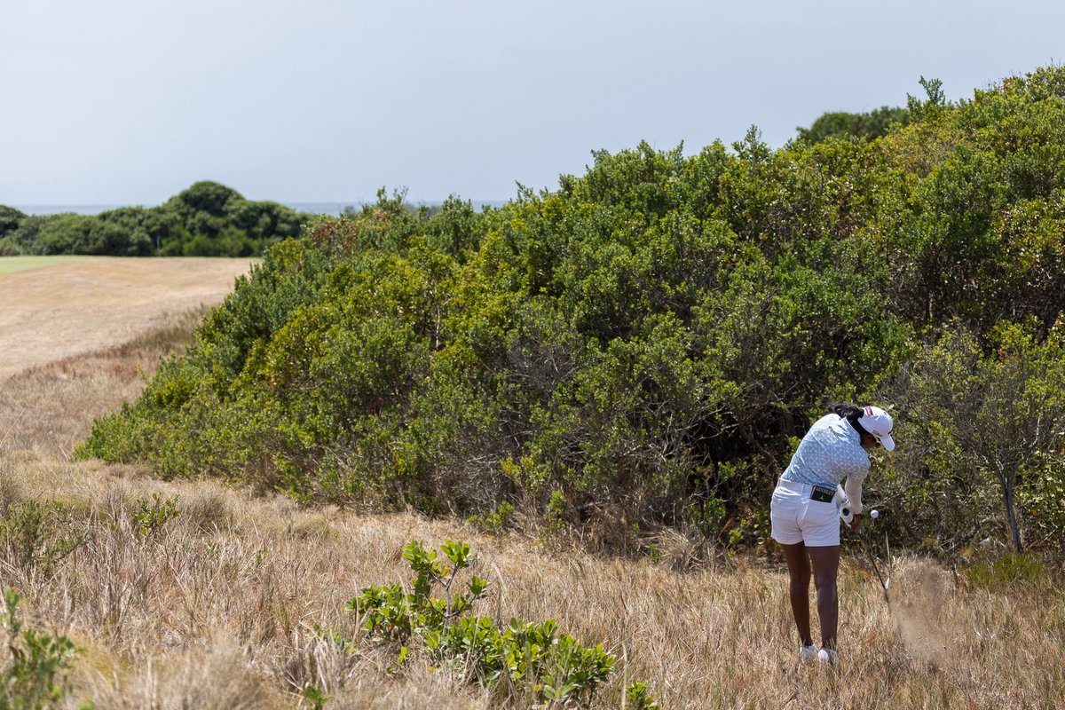 KaiGolfHQ's tweet photo. T8 at Humewood ⛳️🔥
Sometimes the line is over the bush 🌿😅
You going for it… or playing it safe? 👀👇
@Investec @Hot1027FM @ITU_golf_wear @SteynCity_Golf https://t.co/byxWdfWiVk