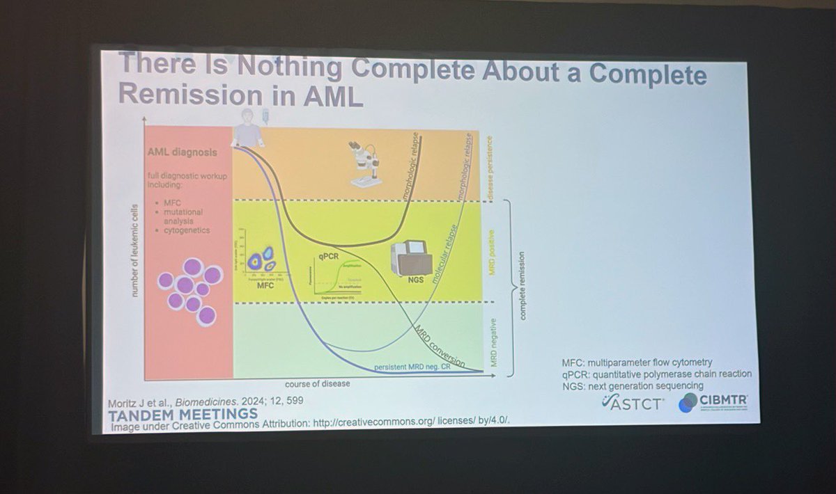 Ariel Perez tweet media