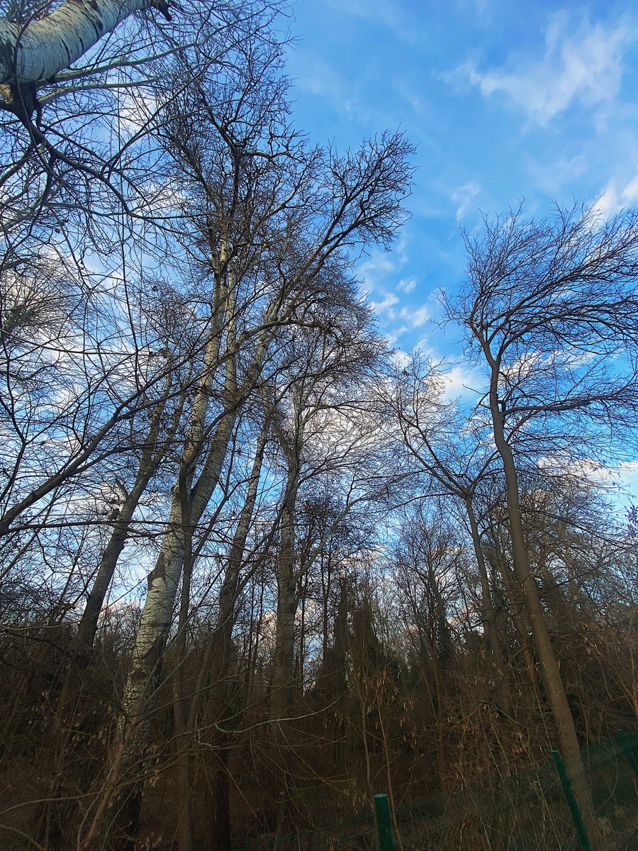 abartmayıp napıcaktık şuna bakın