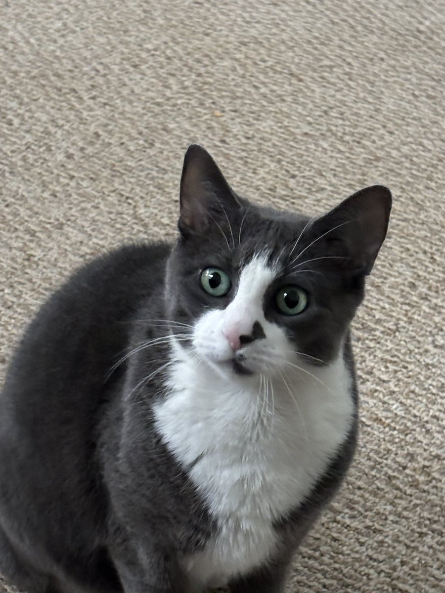 Jay☃️ tweet media