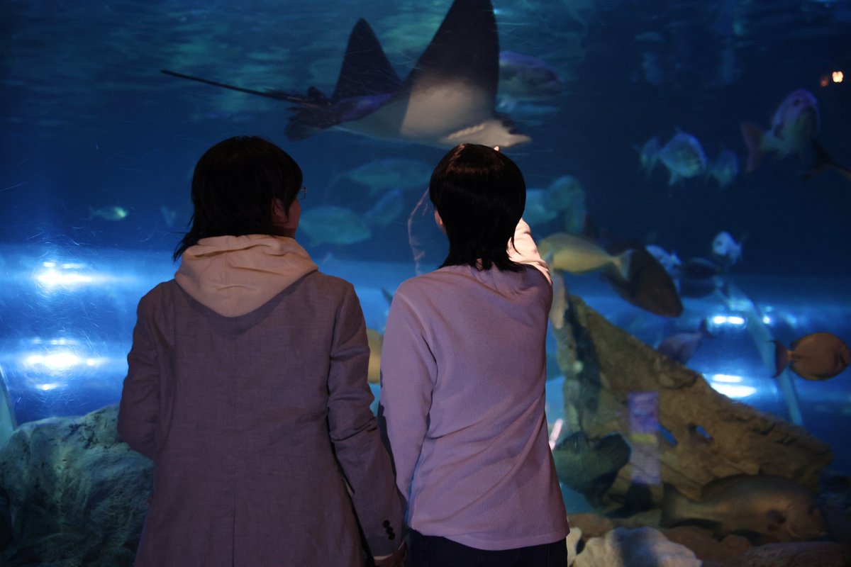 【⚠️コスプレcosplay】
【⚠️捏造・腐・CP設定注意】

しながわすいぞくかんはいいぞ🥳
rp

⚡→セツナ
👓→ころゆきさん（<a href="/D__nobu__4225/">ころゆき:いとこアルバム描きなさい</a> ）
📸→タカラさん（<a href="/monotakara22/">takaramono</a>  ）