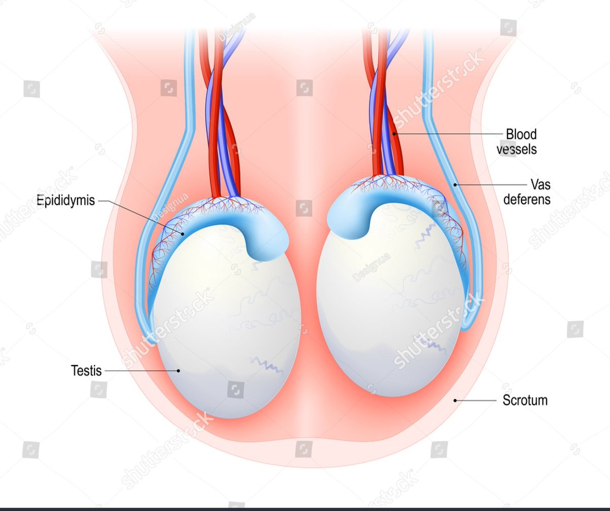 Toby🧤 tweet media