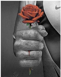 John Coles tweet media