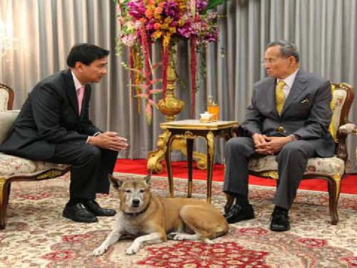 บิ๊ก เกียรติชัย ตั้งภรณ์พรรณ tweet media