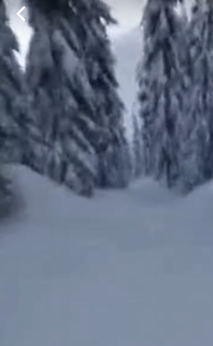 👍 In need of a serious vacation youtube.com/shorts/9lzzCGf… via <a href="/YouTube/">YouTube</a>