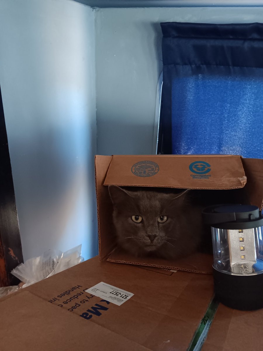 Allig8torSwimmingInARedSwamp☮️🌊🌞⚜🍷🤬🦄🦚🚑🚔 tweet media