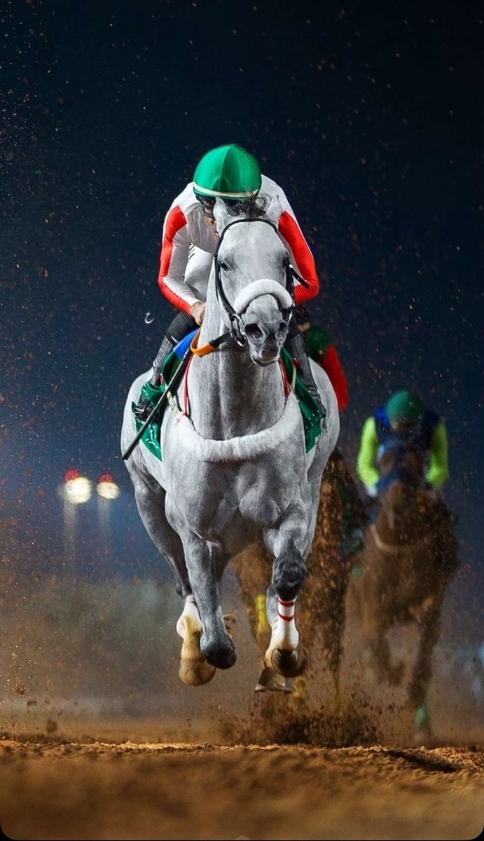 البطل "هقيت" يتجه إلى بوابته في كأس السعودية، بعد دعوة لجنة الترشيح، في آخر محطة عبور نحو الكأس الأغلى في العالم — كأس السعودية 🇸🇦.

بالله ثم بك يابطل الهقوة ماتخيب، و بركة الله ورعايتة تحرسك يابطل 🤍💚

يحق بك أن نفخر ويحق أن تفعلها لنا يابطل💪🏇🏆

#كأس_السعودية |