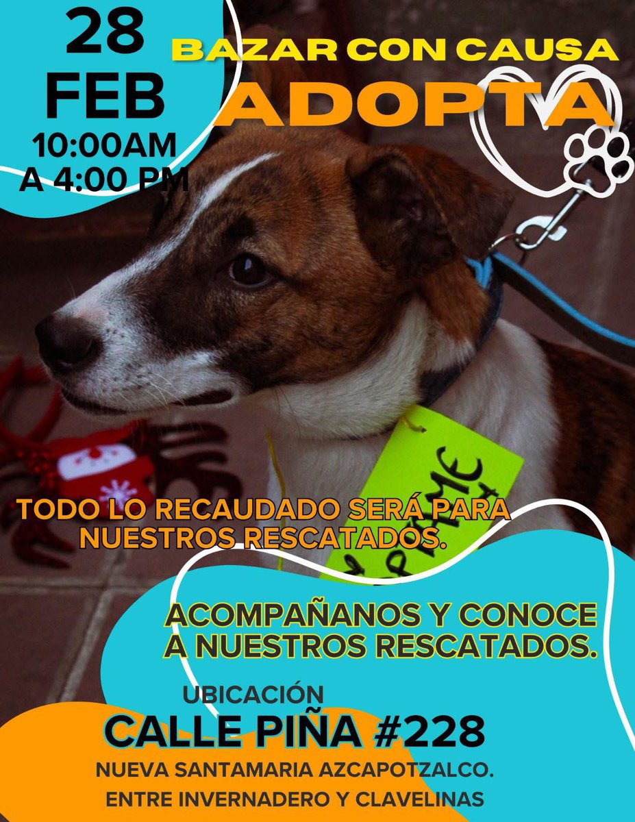 El próximo 28 de febrero ven y adopta a tu mejor amigo
￼este bazar con causa es  de una gran amiga rescatista por favor los que puedan ir y ayudar a difundirlo. Estaría genial. Muchas gracias a todos ￼
