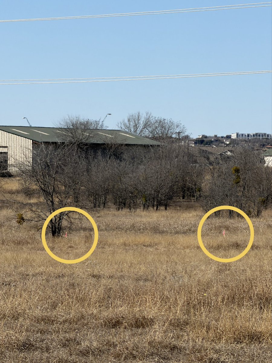 Pamela Oldham tweet media