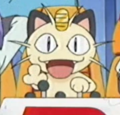 #memesazafran Meowth enseñando el dedo medio (?)