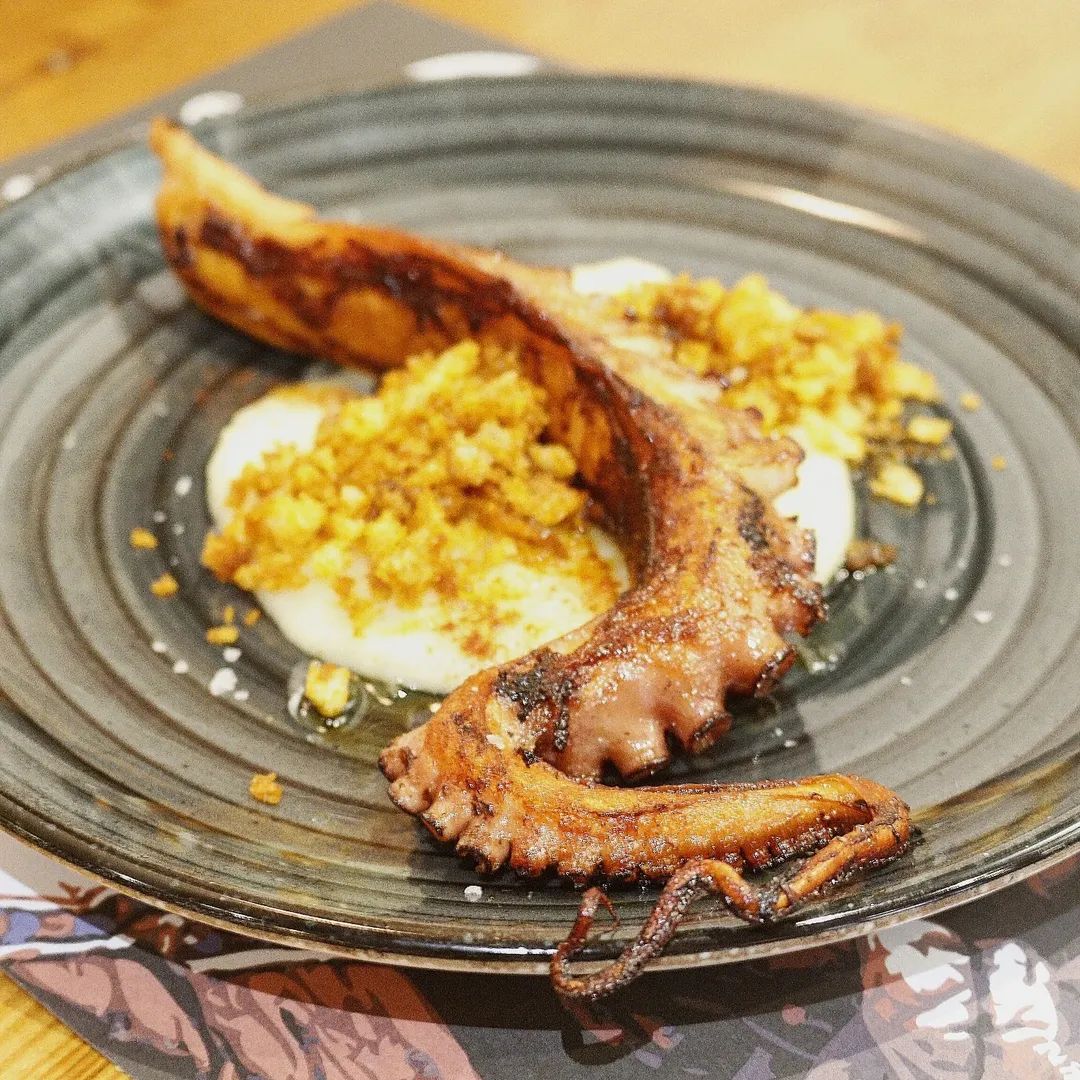 💬 Pata de pulpo a la brasa con chirivía y migas de pimentón
Las Jornadas del Pulpo en El Calecho son una invitación a parar, sentarse a la mesa y disfrutar de una propuesta alrededor de la mesa.

📍 plaza San Martín n ° 9, León.
☎️ : 987 254 287.

.
#elcalecholeon #leonesp