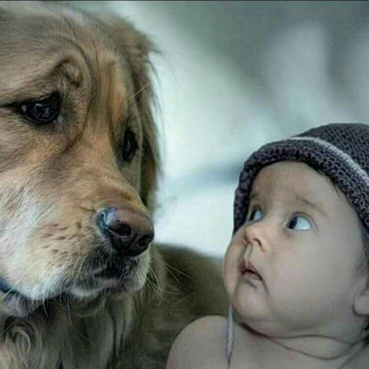 tualveben's tweet photo. 🌾 ..." dostluk güzeldir "...
🎶 Begen
✍️ GT yaz
🌀 Paylaş
Takip etmek isteyenler, takipçi edinmek isteyenler gelsin...
Yorum yapalım, paylaşalım...
#Takip #takipleşme #geritakip #fallow #fallowback #takipleselim https://t.co/Jy7dAS9hUg