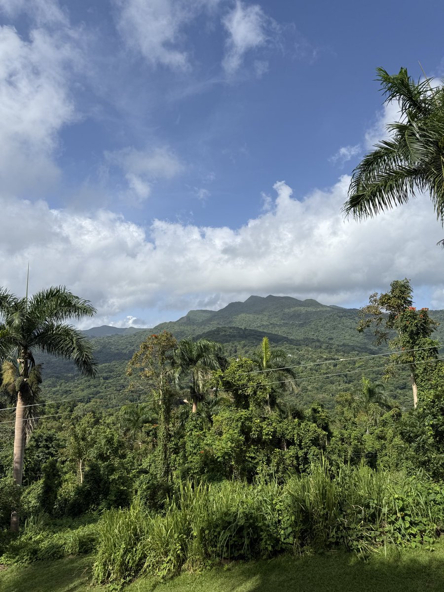 Rj Schrand tweet media