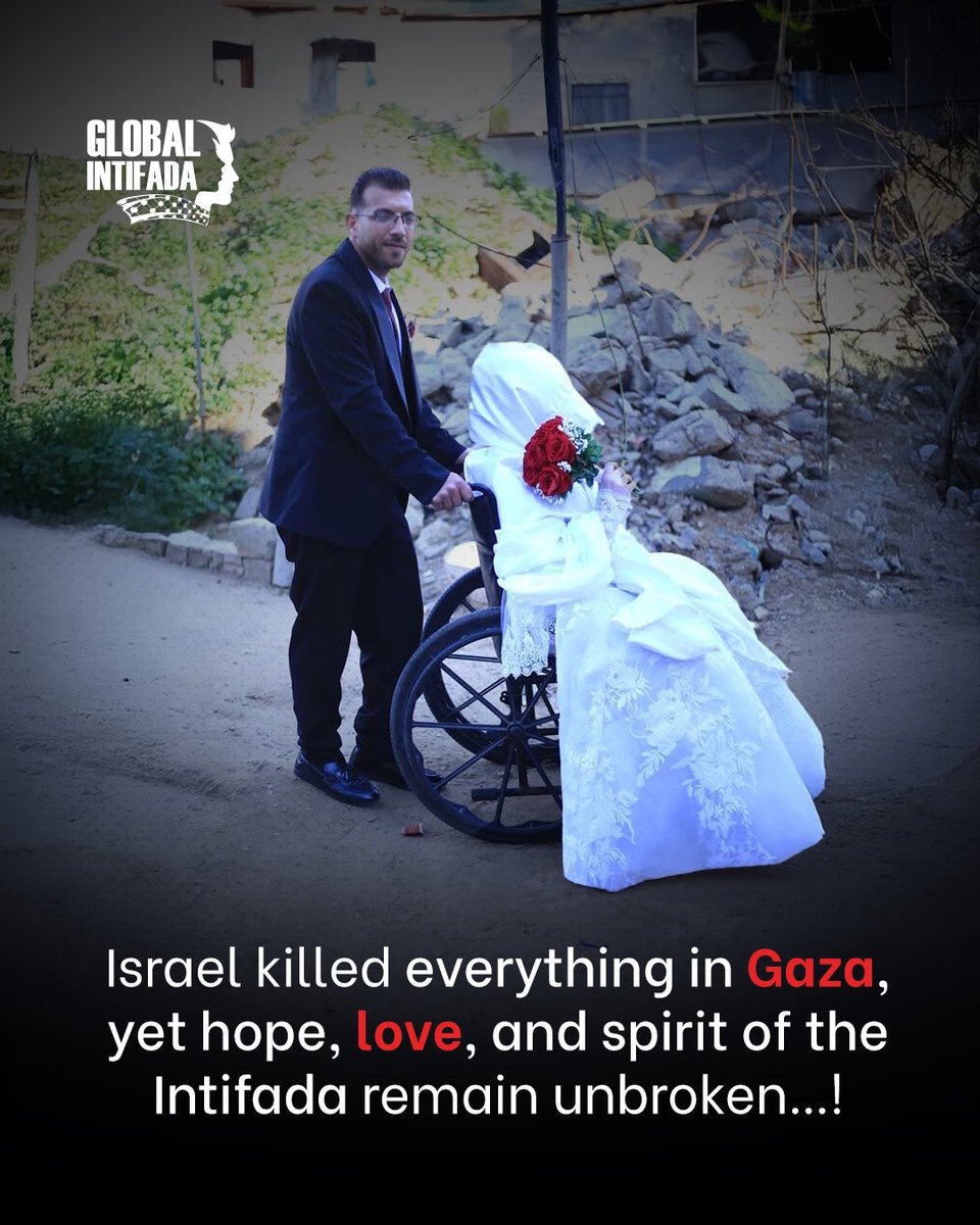 Yesterday, Engineer Ahmed Dawoud and Ms. Nour Ershi planted a seed of hope, love, and joy in Gaza.

Love, in the end, always triumphs over hatred, arrogance, and savagery…!