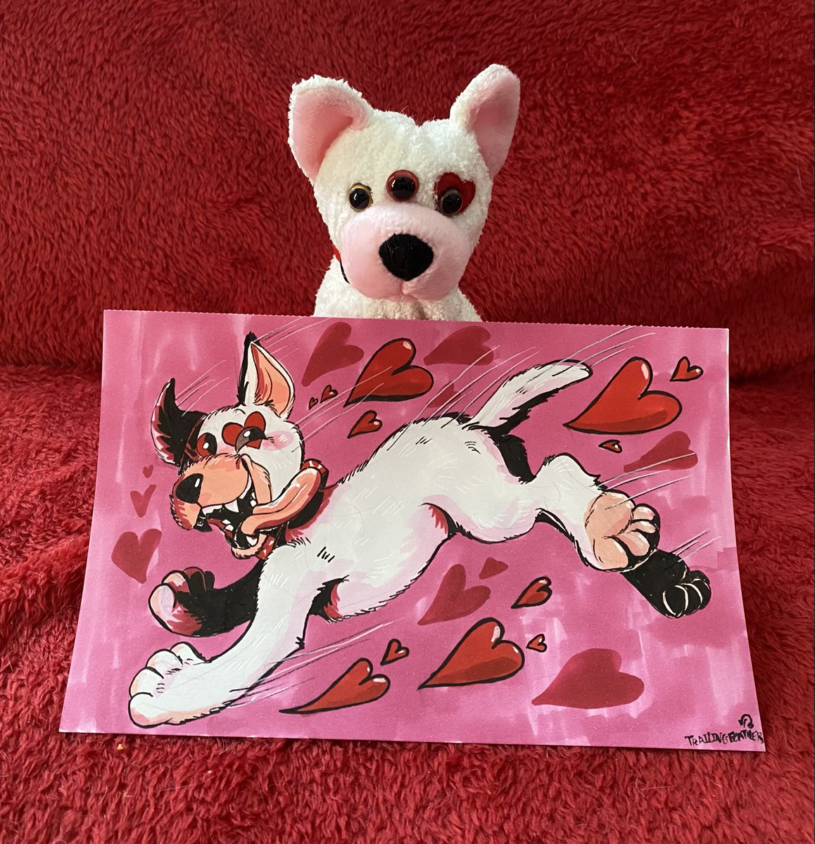 Trailing Feathers tweet media