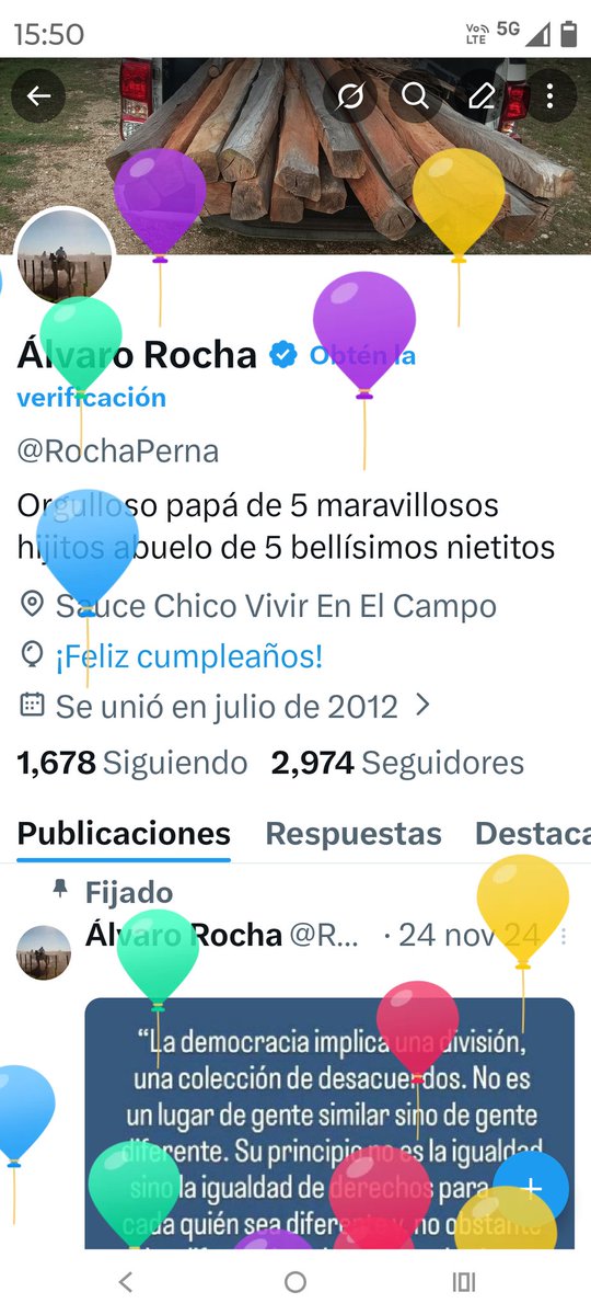 Álvaro Rocha tweet media