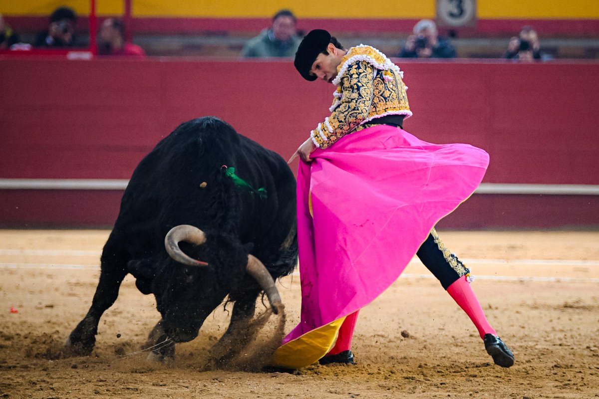 VALDEMORILLO, 2026

Segundo festejo de la Feria de San BLAS. Lleno de entrada. Toros de El Capea (1º), Carmen Lorenzo (2º), Hnos. García Jiménez (3º y 6º) y Fuente Ymbro (4º y 5º), 

• BORJA JIMÉNEZ, oreja, silencio y vuelta al ruedo

• TOMÁS RUFO, silencio, oreja y silencio