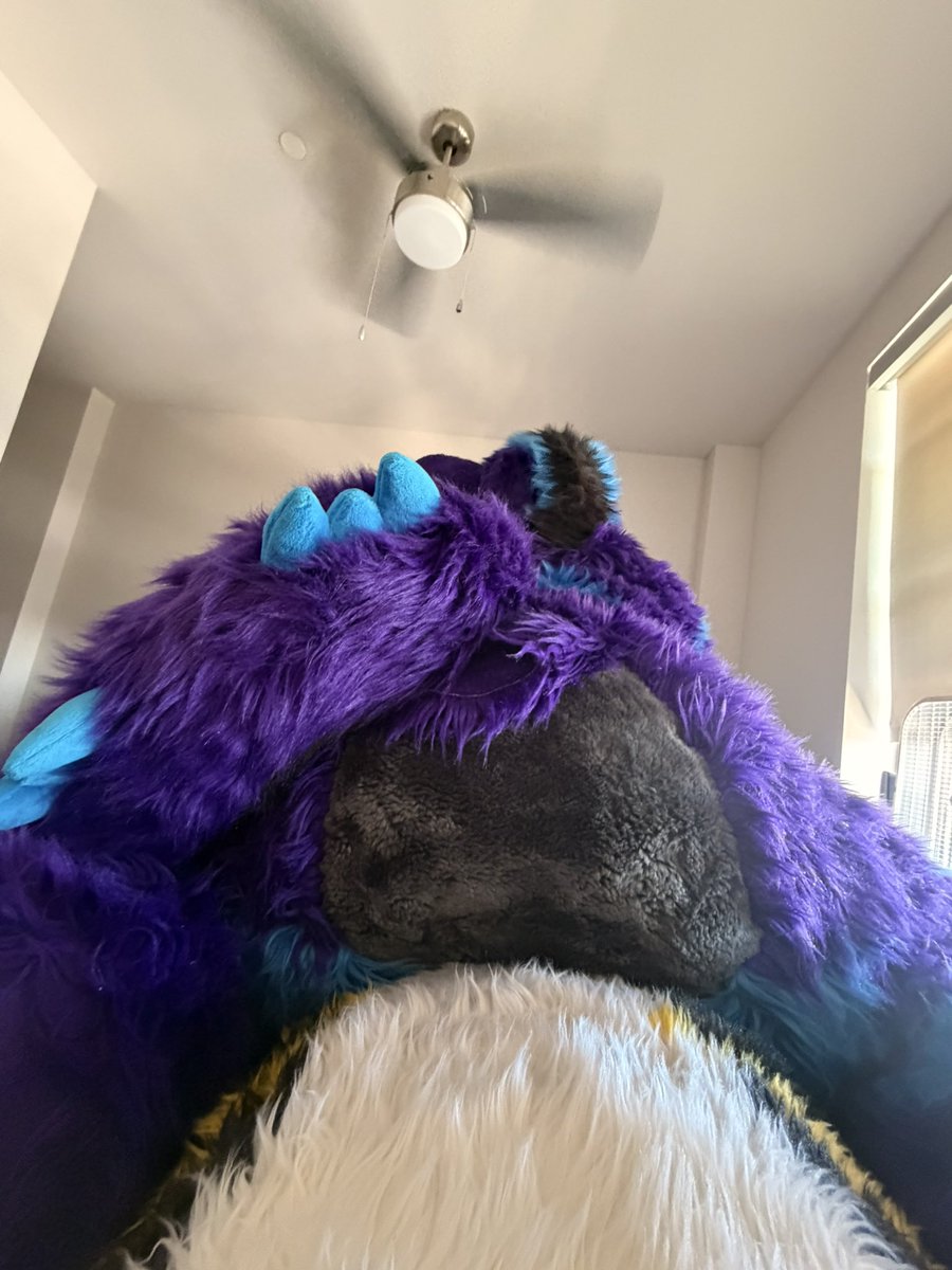 Good Saturday morning POV ;3 🦊🐯