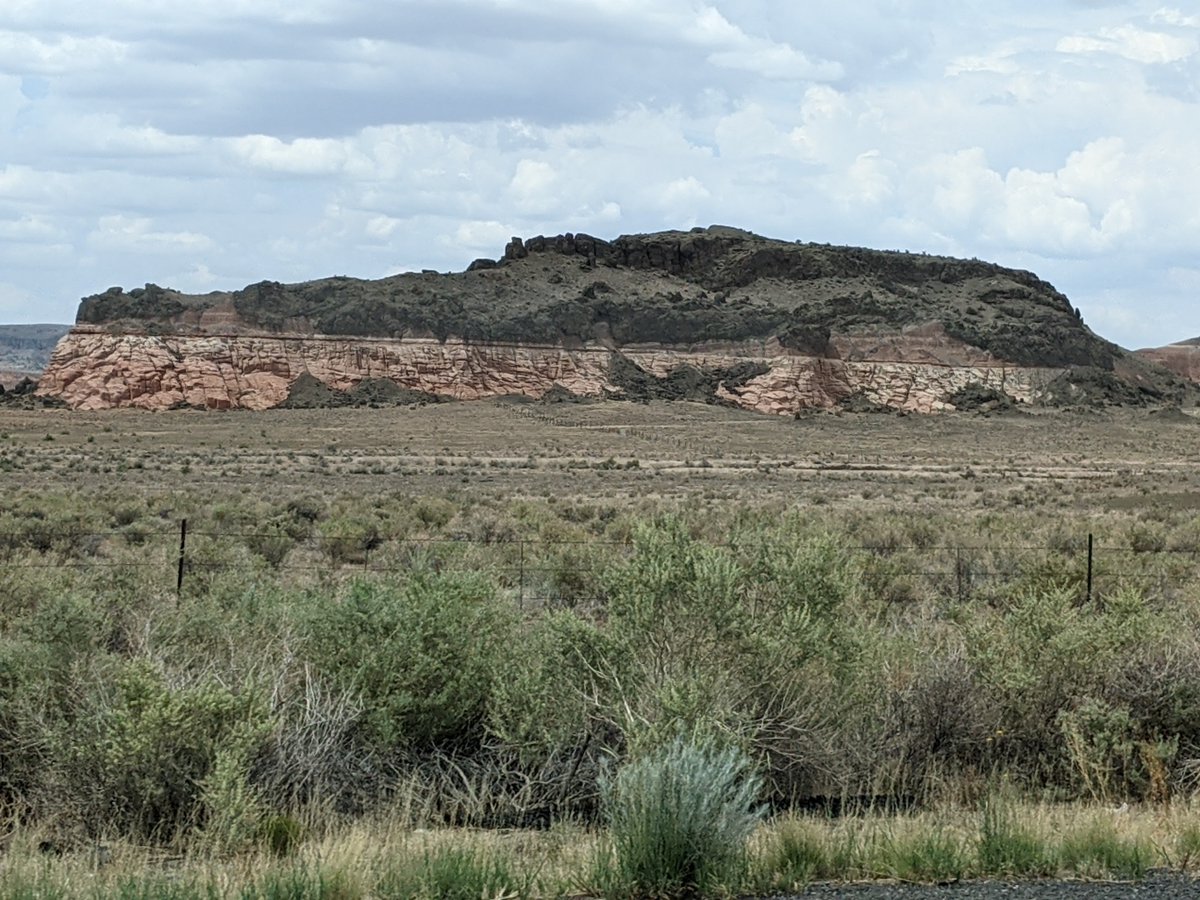 Dan Holiday tweet media