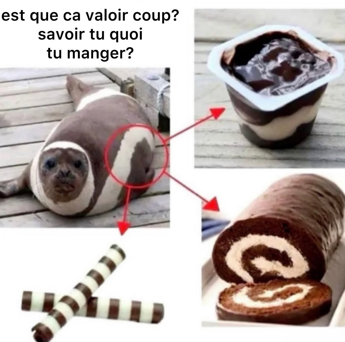 Memes traduits en français sans aucun crédit (@memestraduit) on Twitter photo 