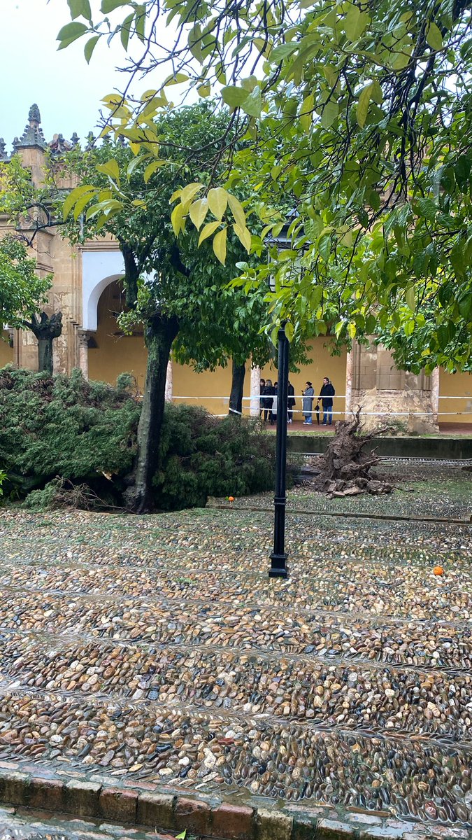 ⚠️ Información para visitantes | Mezquita-Catedral de Córdoba

Por motivos de seguridad y siguiendo las indicaciones de las autoridades tras la activación del nivel 2 del Plan de Emergencias de Andalucía, el Patio de los Naranjos y la Torre Campanario permanecen cerrados