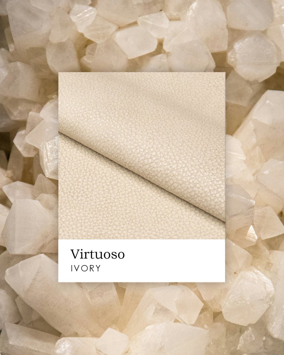 Featured article of the week: Virtuoso - Ivory

magnusleather.com/portfolio/virt…