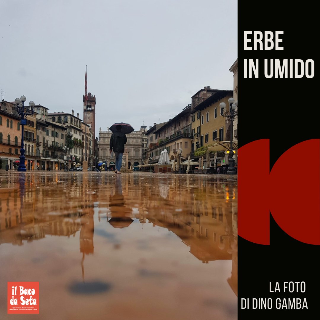 La foto della settimana, di Dino Gamba