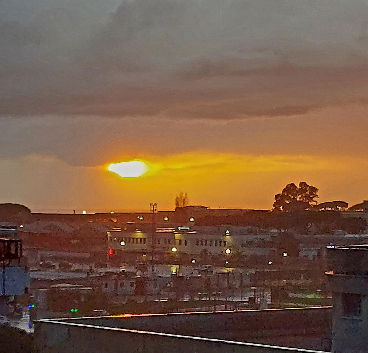 Maria Lea tweet media