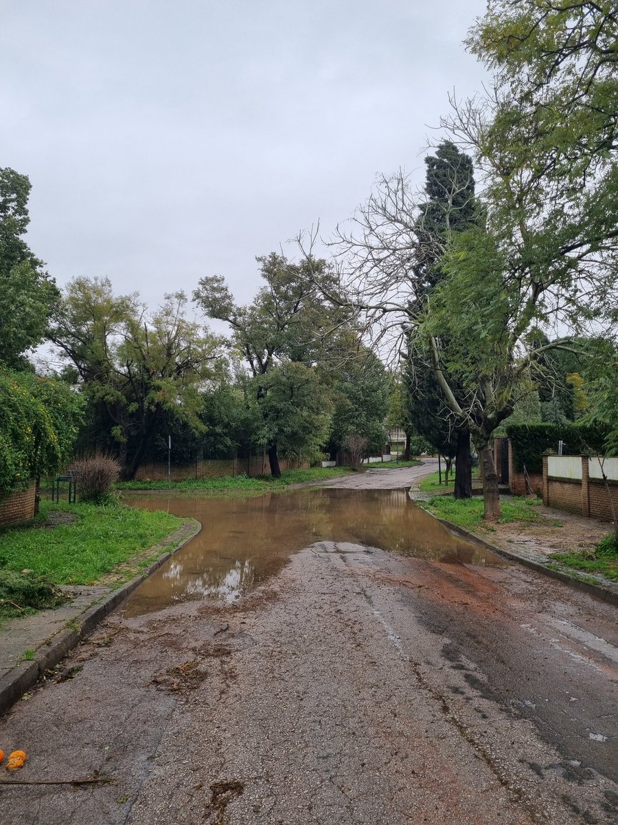 Nos hacen llegar estas imágenes. Zona inundable con 4 lluvias. Se inunda siempre, llegando a alcanzar bastante altura e impidiendo el paso de vehículos.
Un despropósito más <a href="/MairenaAljarafe/">Mairena del Aljarafe</a>