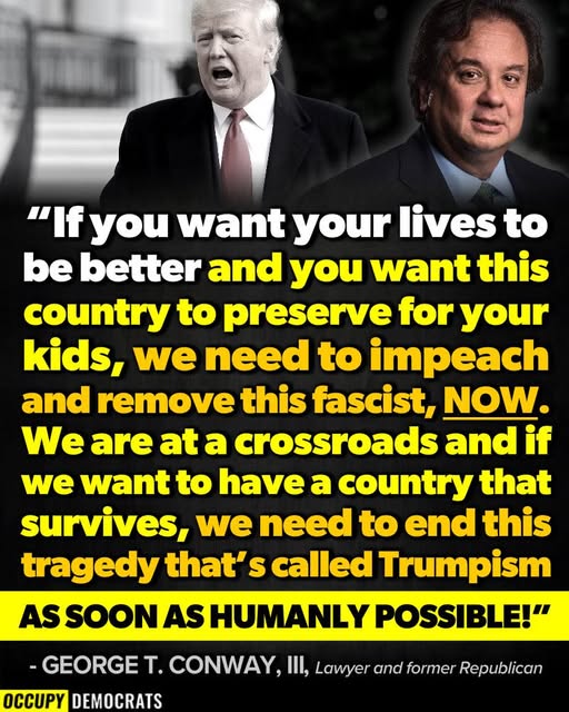 Trevor_Allan_1's tweet image. 