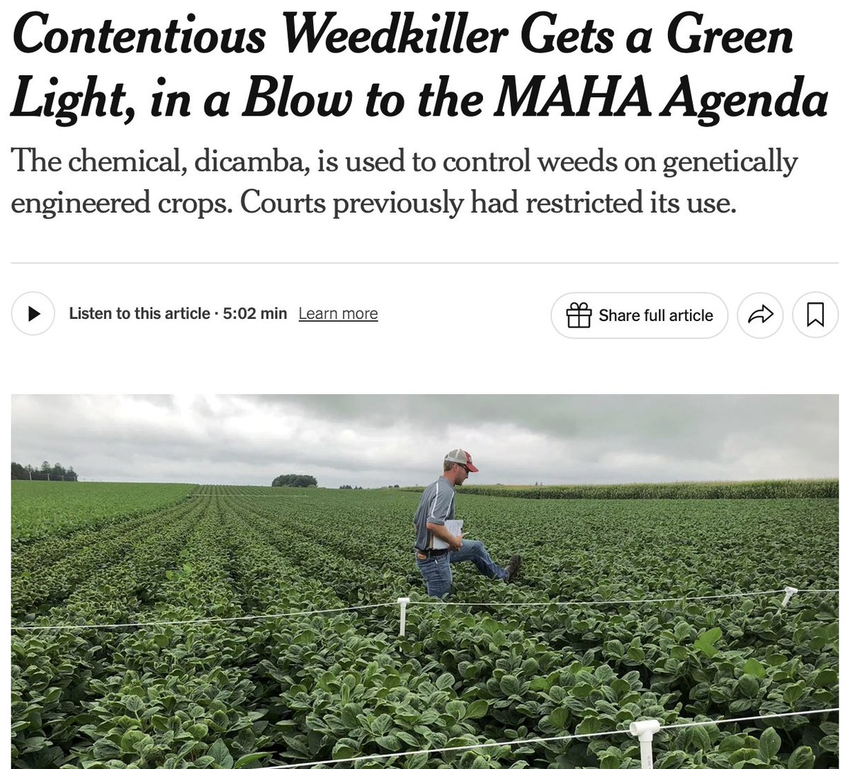 Sam Knowlton tweet media