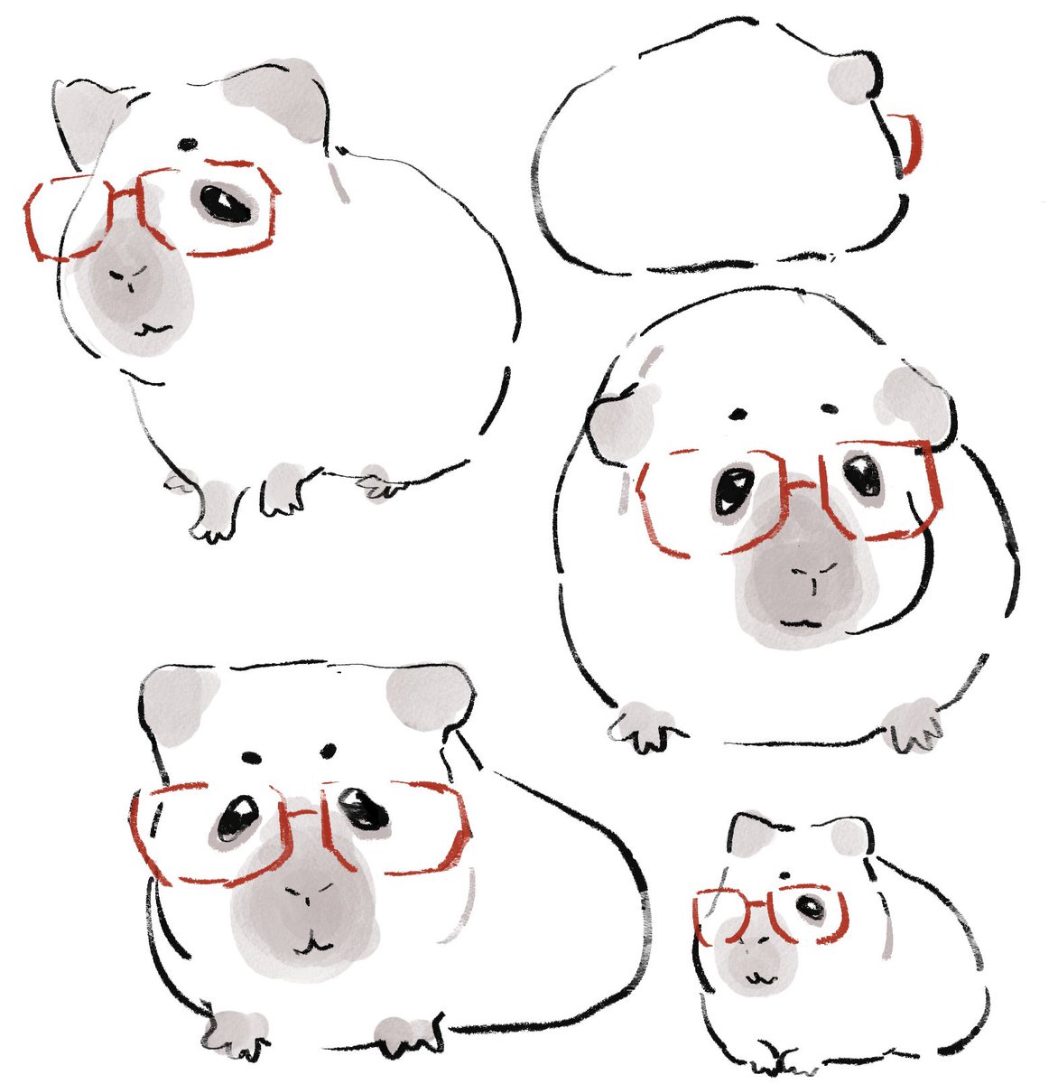 fuyuka_usus10's tweet image. .