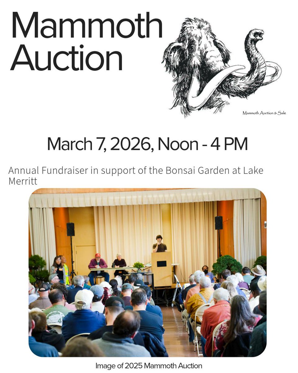 Mammoth Auction is coming this March 7, 2026, for the Bonsai Garden at Lake Merritt, Oakland, CA. (NOTE: The Mammoth Auction funds the Bonsai Garden at Lake Merritt and is not affiliated with EBBS.)