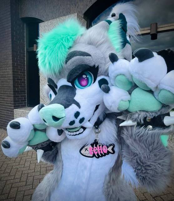 Cup Critters & Co. tweet media