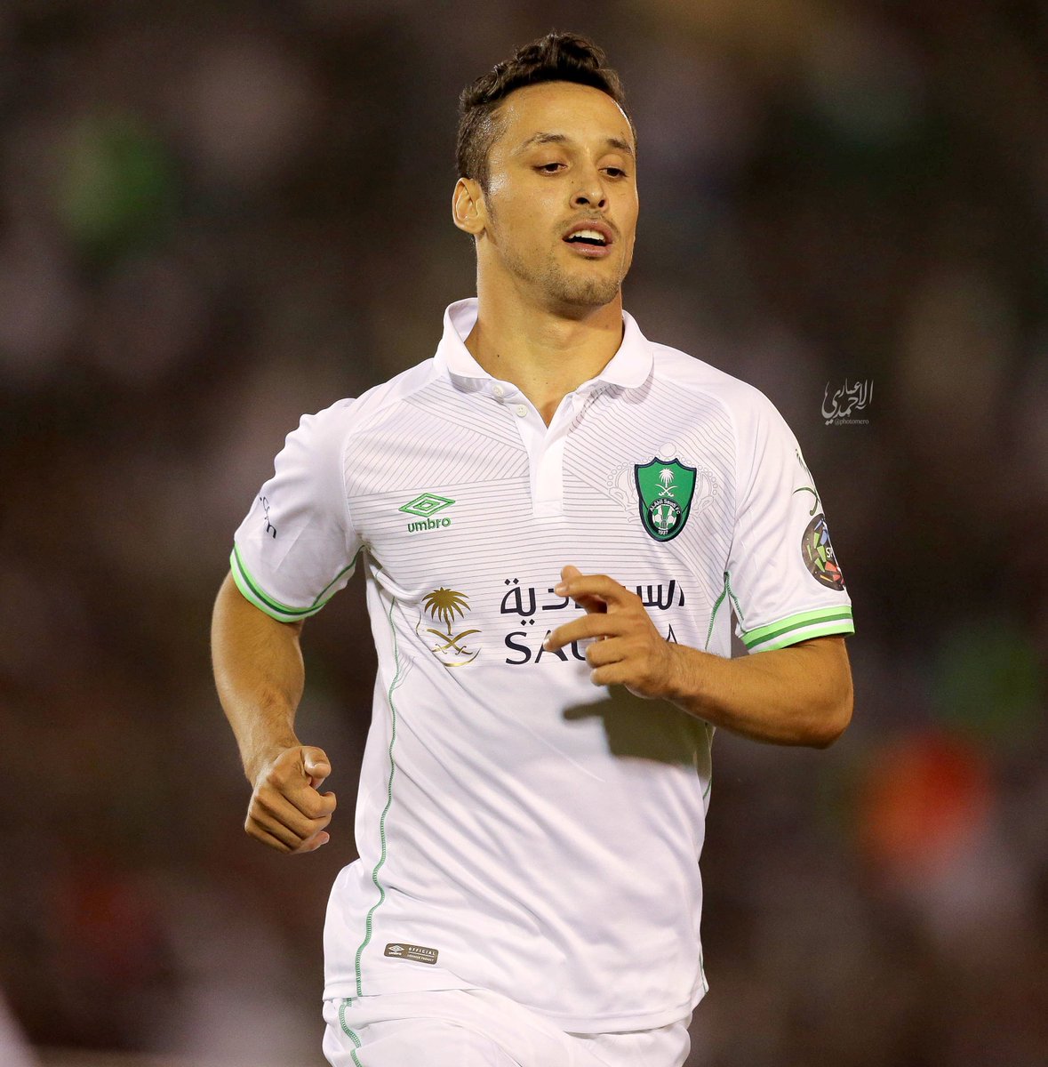 Pacific Coast tweet media