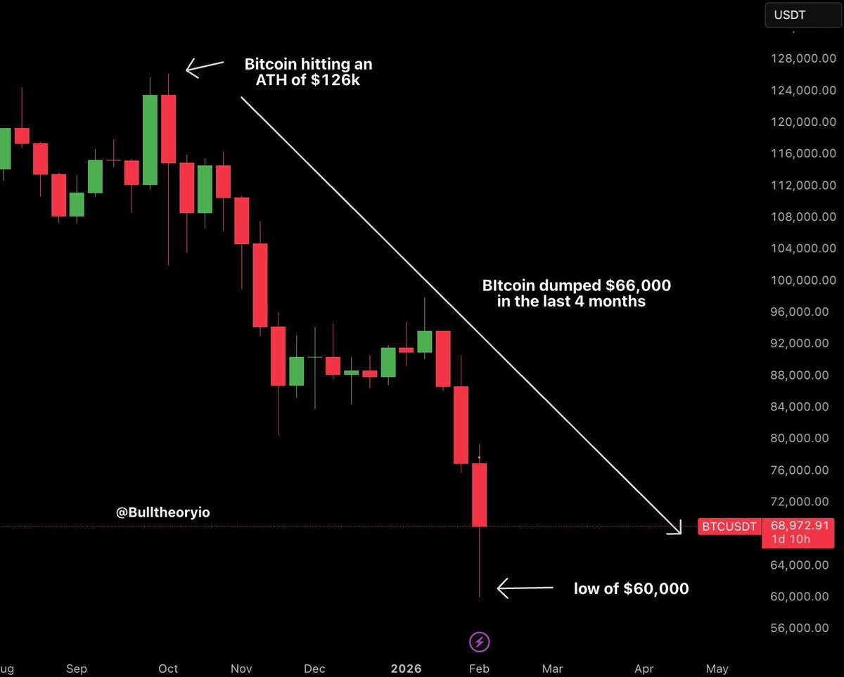 Bull Theory tweet media