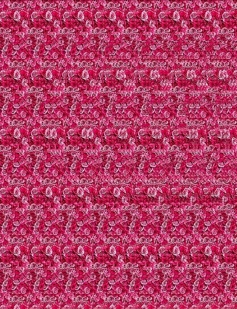 ShanxiTimes's tweet photo. 【#3Dstereogram】 Can you find the The girl dancing ballet ？
It’s said that only 10% of people can spot it. https://t.co/uq2e2v1VsM