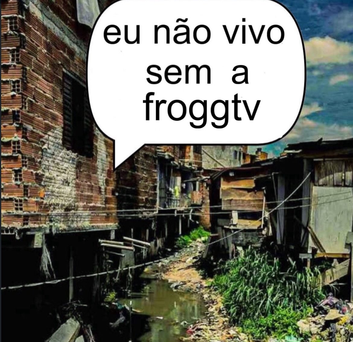 acervo froggtv tweet media