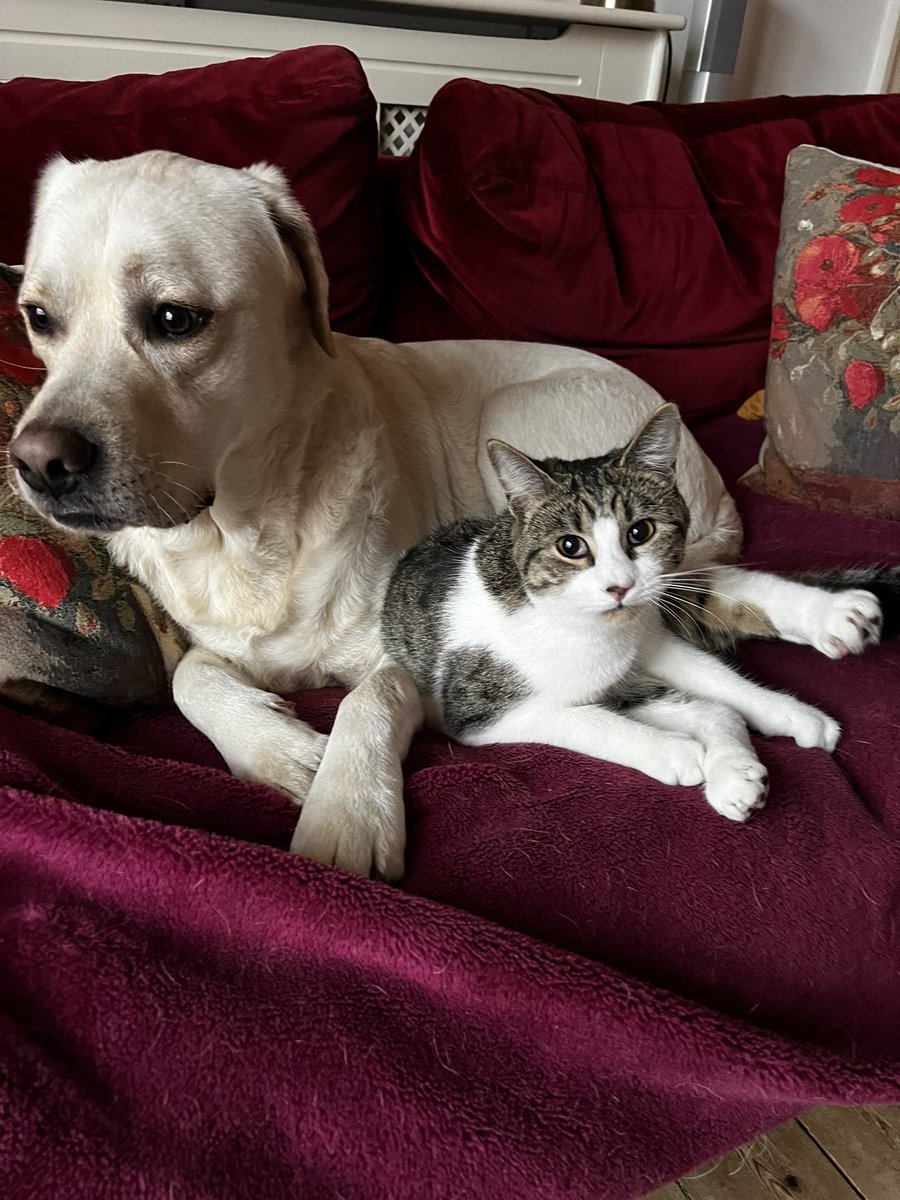 Chilling with my brother Hamish