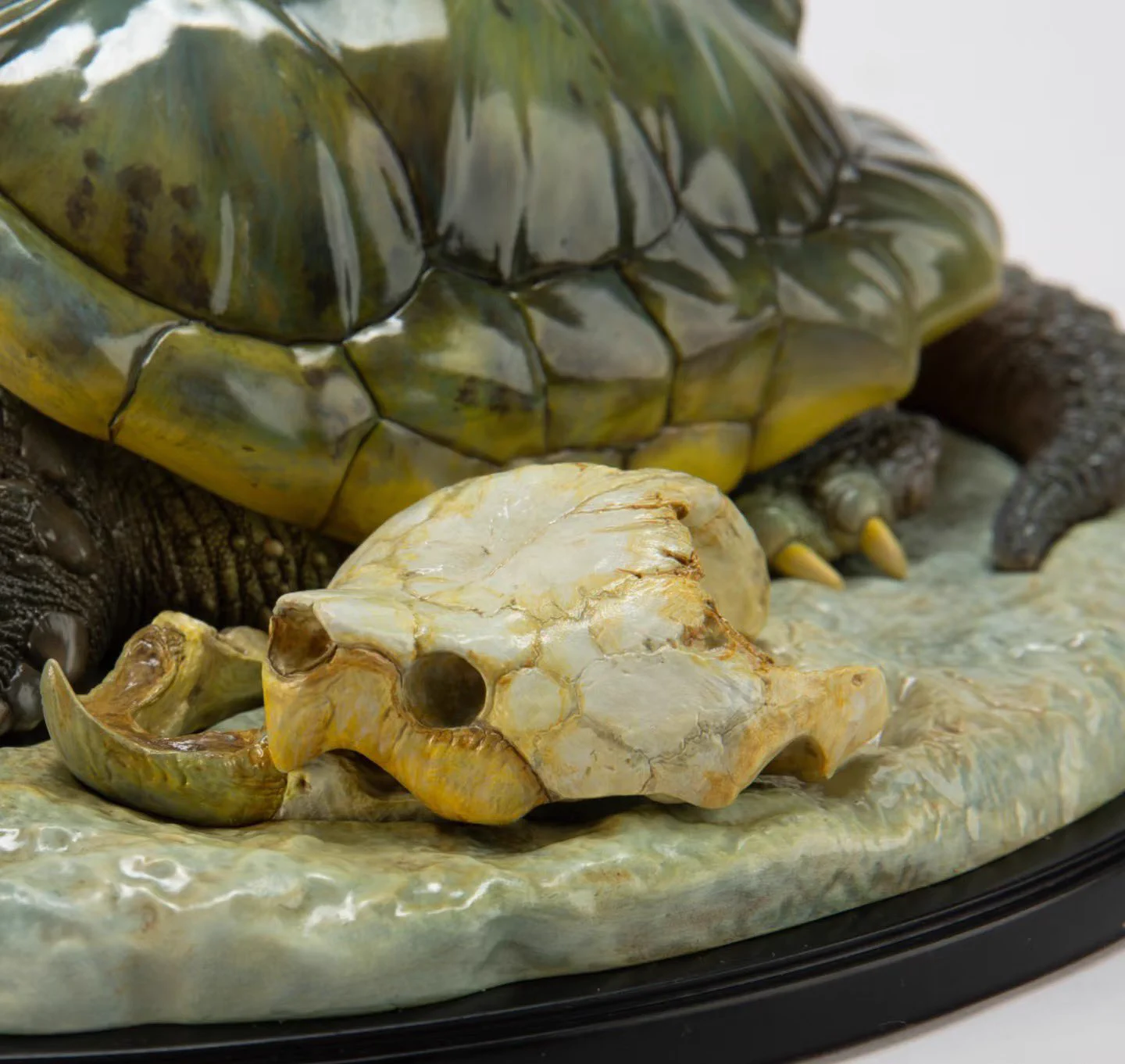 insectech 昆虫採集と標本用品の専門店 動物の惑星フィギュア正規販売