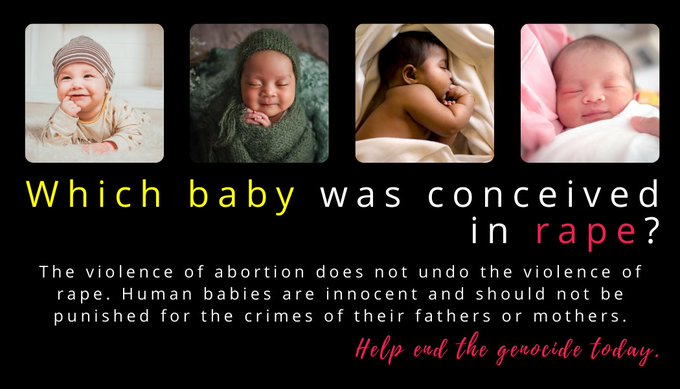 Hayoung T. Yim (Terran Nerd) tweet media