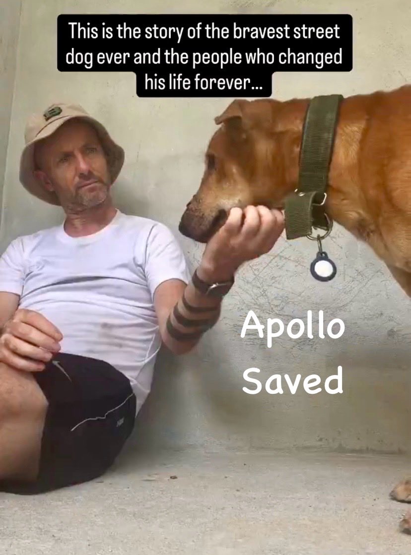 Nick Yada Yada tweet media