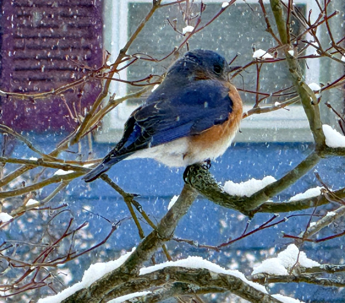 EVERONWARD tweet media