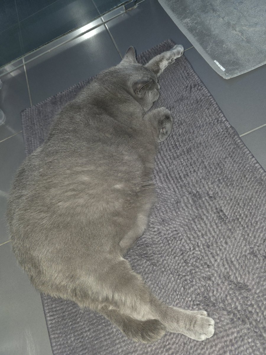 Sivo na sivo 😃 
<a href="/andrejae/">Andreja</a>