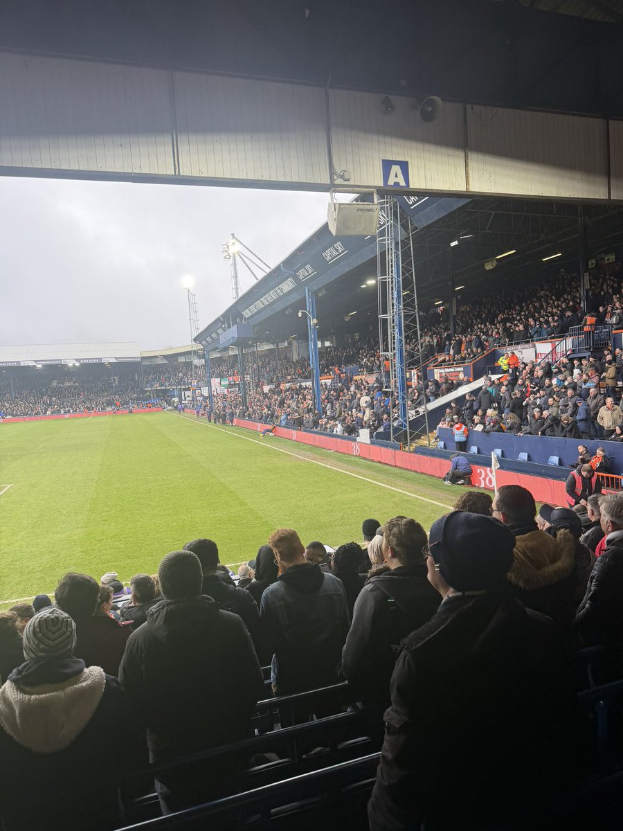 Shepps 🐝 tweet media