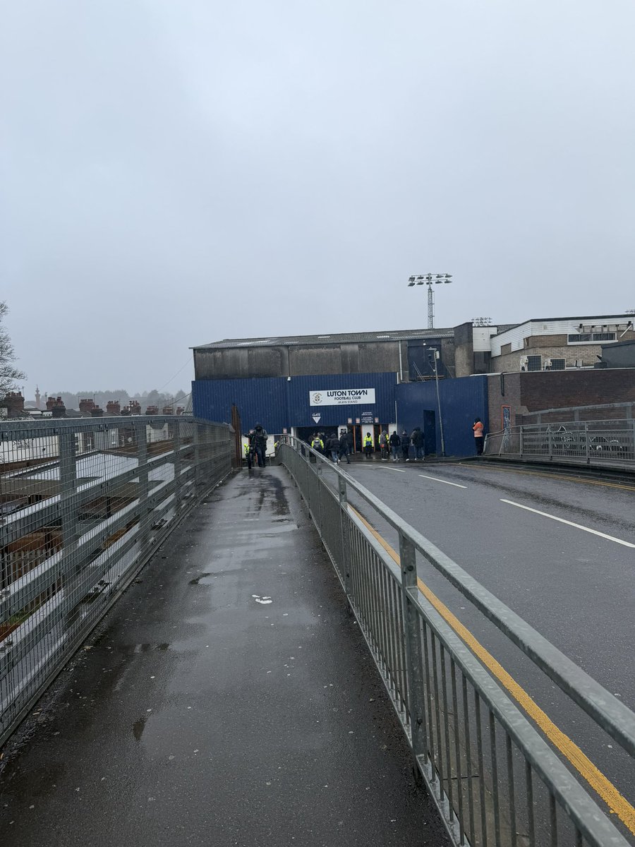 Shepps 🐝 tweet media