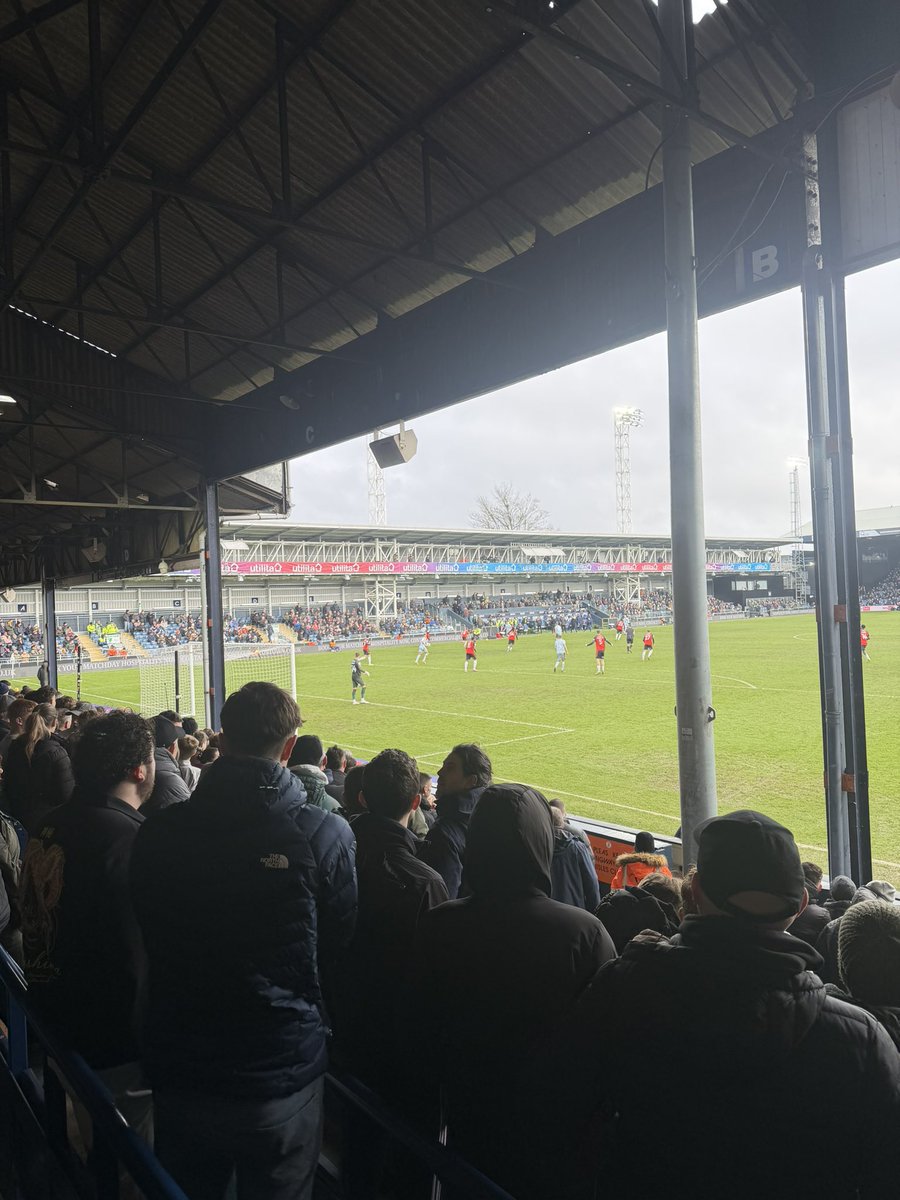 Shepps 🐝 tweet media